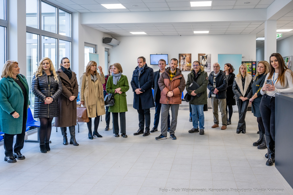 Kraków, Otofotokronika, Urząd Miasta Krakowa, UMK, Majchrowski, Schronisko Dla Bezdomnych Zwierzą  Autor: P. Wojnarowski