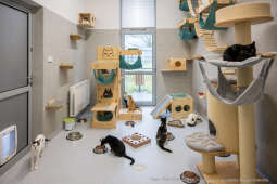 Kraków, Otofotokronika, Urząd Miasta Krakowa, UMK, Majchrowski, Schronisko Dla Bezdomnych Zwierzą