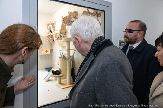 Kraków, Otofotokronika, Urząd Miasta Krakowa, UMK, Majchrowski, Schronisko Dla Bezdomnych Zwierzą