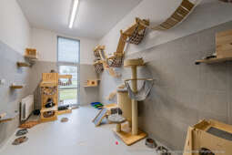 Kraków, Otofotokronika, Urząd Miasta Krakowa, UMK, Majchrowski, Schronisko Dla Bezdomnych Zwierzą