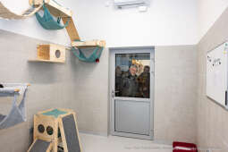 Kraków, Otofotokronika, Urząd Miasta Krakowa, UMK, Majchrowski, Schronisko Dla Bezdomnych Zwierzą