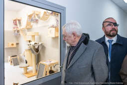 Kraków, Otofotokronika, Urząd Miasta Krakowa, UMK, Majchrowski, Schronisko Dla Bezdomnych Zwierzą