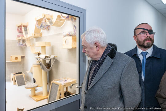 Kraków, Otofotokronika, Urząd Miasta Krakowa, UMK, Majchrowski, Schronisko Dla Bezdomnych Zwierzą