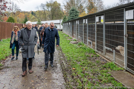 Kraków, Otofotokronika, Urząd Miasta Krakowa, UMK, Majchrowski, Schronisko Dla Bezdomnych Zwierzą