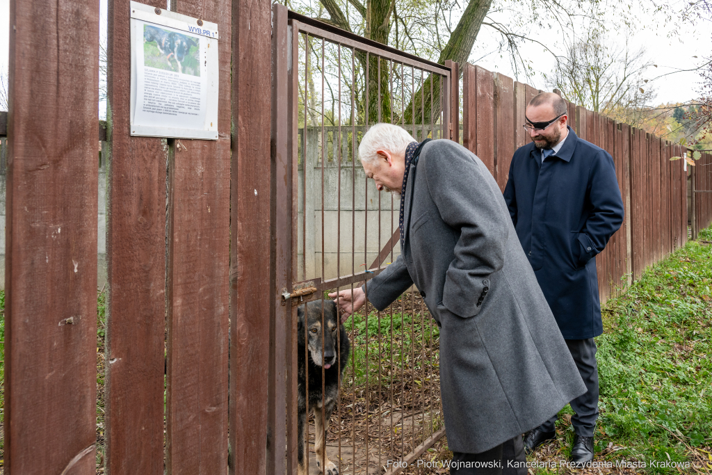 Kraków, Otofotokronika, Urząd Miasta Krakowa, UMK, Majchrowski, Schronisko Dla Bezdomnych Zwierzą  Autor: P. Wojnarowski