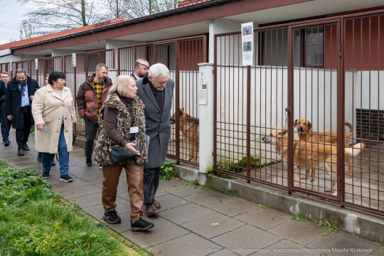 Kraków, Otofotokronika, Urząd Miasta Krakowa, UMK, Majchrowski, Schronisko Dla Bezdomnych Zwierzą