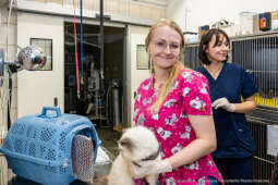 Kraków, Otofotokronika, Urząd Miasta Krakowa, UMK, Majchrowski, Schronisko Dla Bezdomnych Zwierzą