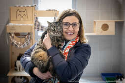 Kraków, Otofotokronika, Urząd Miasta Krakowa, UMK, Majchrowski, Schronisko Dla Bezdomnych Zwierzą