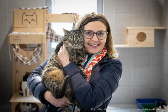 Kraków, Otofotokronika, Urząd Miasta Krakowa, UMK, Majchrowski, Schronisko Dla Bezdomnych Zwierzą