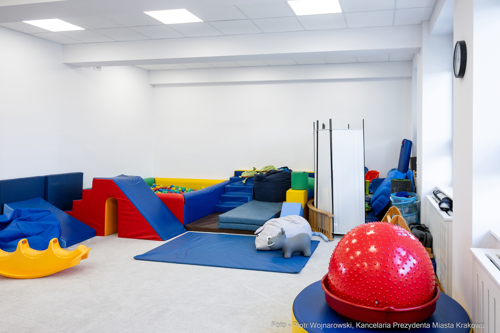 Kraków, Otofotokronika, Urząd Miasta Krakowa, UMK, Willowe, otwarcie, Poradnia Wczesnej Pomocy Psy  Autor: P. Wojnarowski