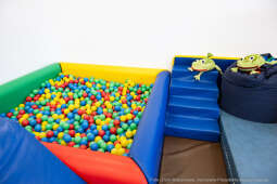 Kraków, Otofotokronika, Urząd Miasta Krakowa, UMK, Willowe, otwarcie, Poradnia Wczesnej Pomocy Psy