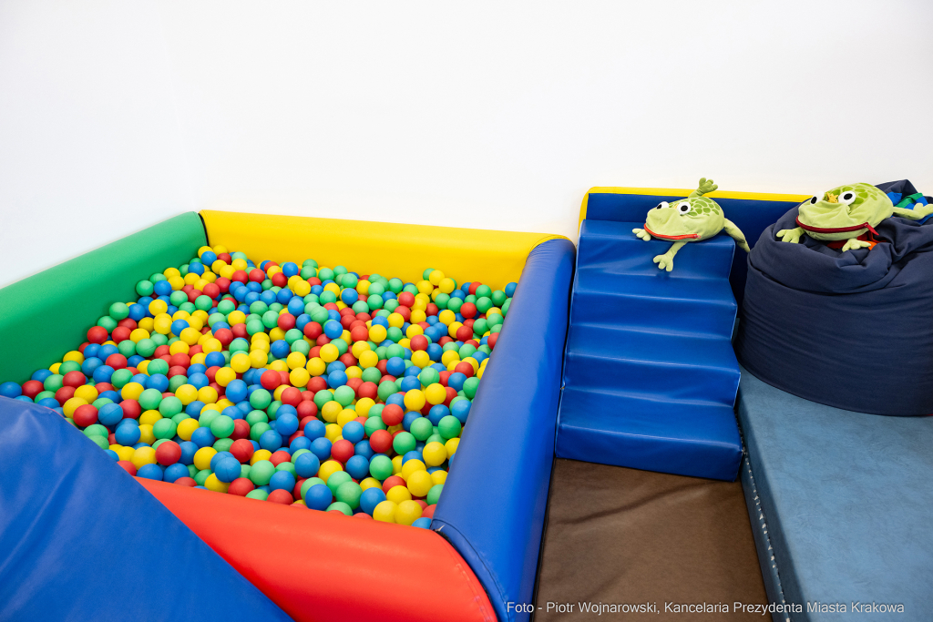 Kraków, Otofotokronika, Urząd Miasta Krakowa, UMK, Willowe, otwarcie, Poradnia Wczesnej Pomocy Psy  Autor: P. Wojnarowski