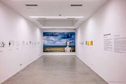 pw_147_019_piotr wojnarowski.jpg-Krystian Lupa odznaczony odznaką Honoris Gratia