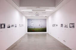 pw_147_021_piotr wojnarowski.jpg-Krystian Lupa odznaczony odznaką Honoris Gratia