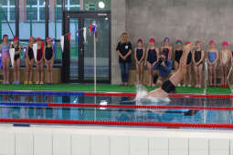 bs-240201-img_4051.jpg-Basen, Majchrowski