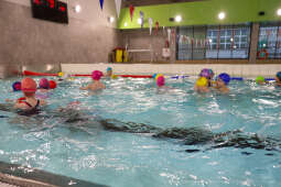 bs-240201-img_4107.jpg-Basen, Majchrowski