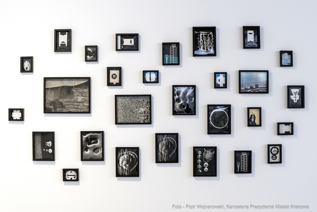 wernisaż, Starmachowie, Starmach, wystawa, Bunkier Sztuki, Majchrowski, Daj mi wszystko, dar, donac  Autor: P. Wojnarowski