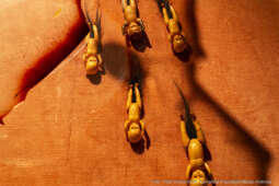 wernisaż, Starmachowie, Starmach, wystawa, Bunkier Sztuki, Majchrowski, Daj mi wszystko, dar, donac