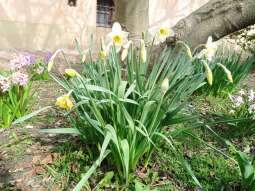 img_20240321_111527.jpg-Pierwszy dzień wiosny na Helców.