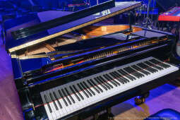 Zasłużony Kulturze Gloria Artis, Majchrowski, środowiska kultury, mistrzowskie instrumenty, Scheu