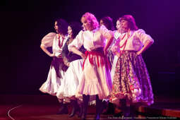 Zasłużony Kulturze Gloria Artis, Majchrowski, środowiska kultury, mistrzowskie instrumenty, Scheu