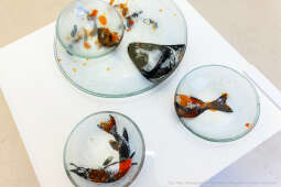 Prezydent, Miszalski, Krakowska Huta Szkła, wernisaż, wystawa, Eksperyment, szkło, szklane