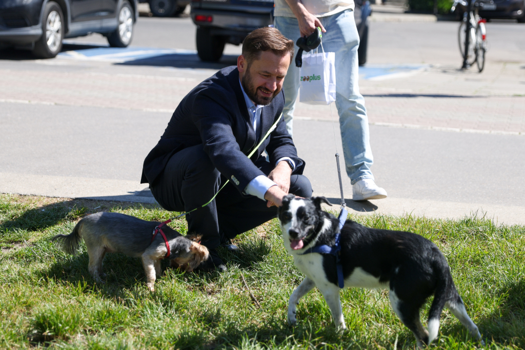 20240525-img_7219.jpg-Marsz, Psy, Miszalski  Autor: B. Świerzowski