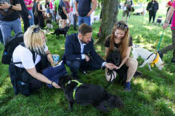 20240525-img_7548.jpg-Marsz, Psy, Miszalski