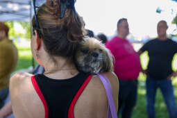 20240525-img_7631.jpg-Marsz, Psy, Miszalski