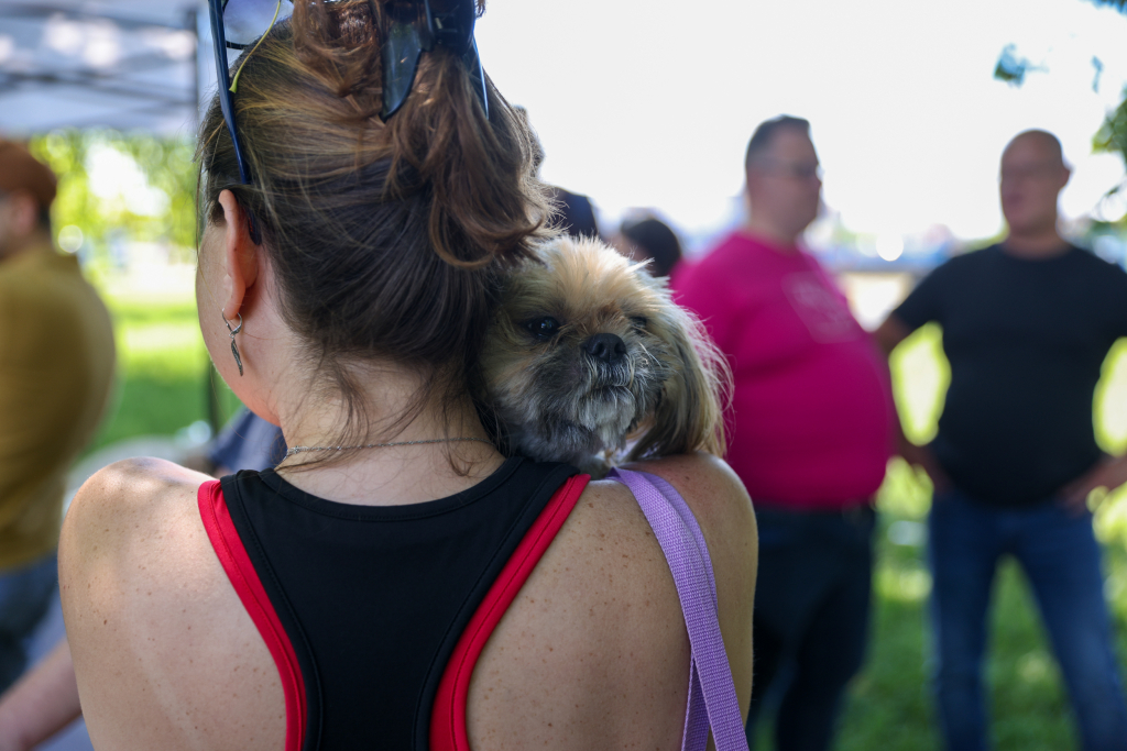 20240525-img_7631.jpg-Marsz, Psy, Miszalski  Autor: B. Świerzowski