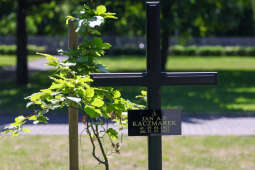 20240525-img_7649.jpg-pogrzeb, Jan A.P. Kaczmarek, Miszalski