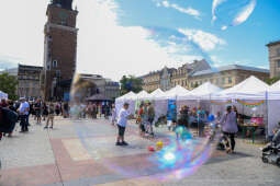 bs-240607-img_4296.jpg-kocham Kraków, Klaman