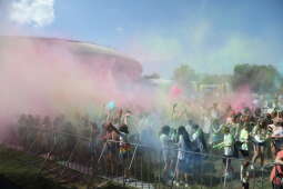 zdjęcie 8.06.2024, 15 14 21.jpg-Festiwal Kolorów 2024