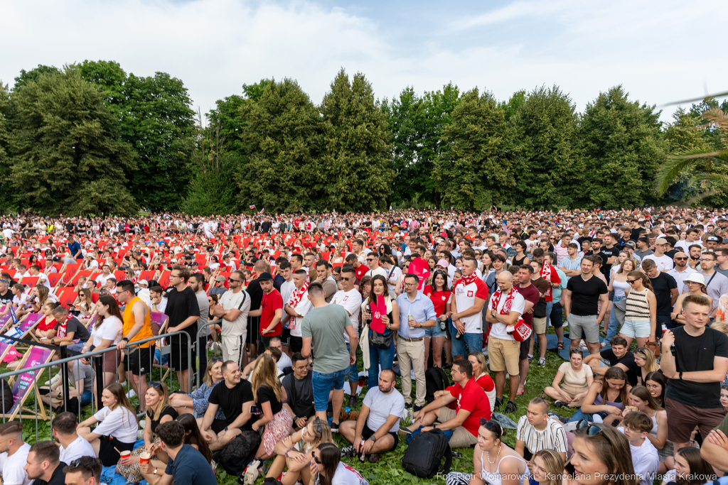 Miszalski Aleksander, kibic, Tauron Arena, Polska-Austria, strefa kibica, mecz  Autor: P. Wojnarowski