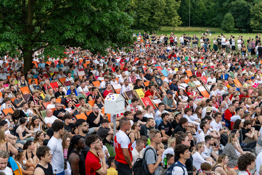 Miszalski Aleksander, kibic, Tauron Arena, Polska-Austria, strefa kibica, mecz  Autor: P. Wojnarowski