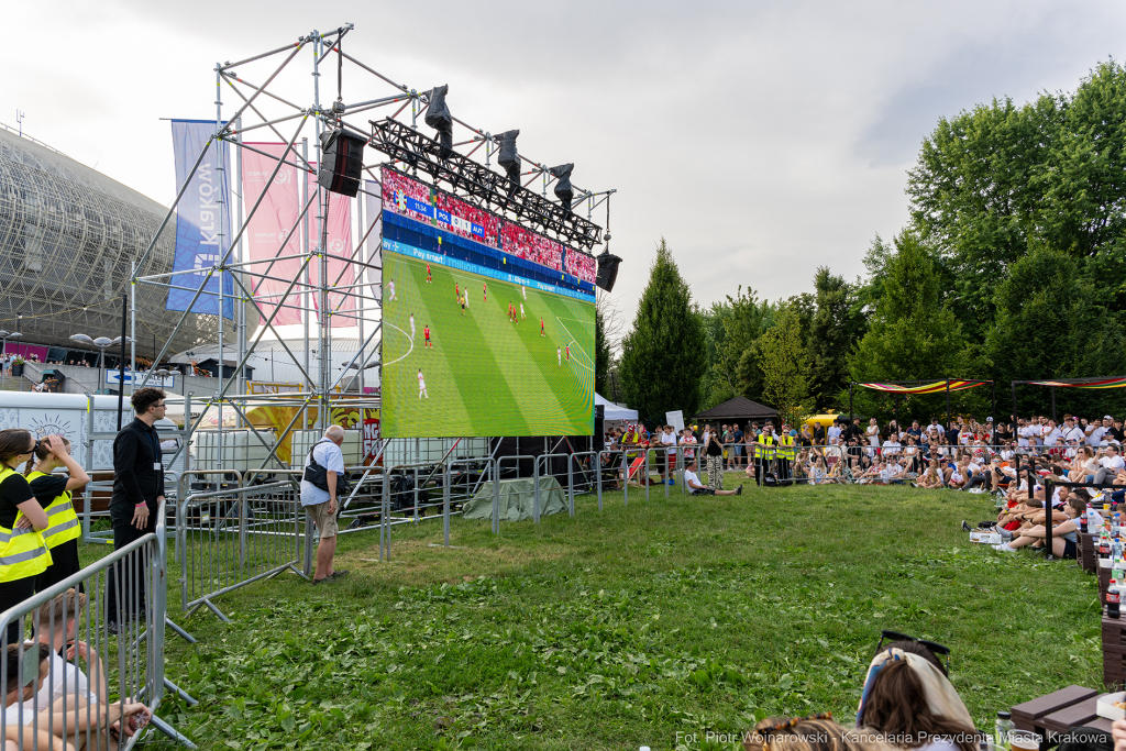Miszalski Aleksander, kibic, Tauron Arena, Polska-Austria, strefa kibica, mecz  Autor: P. Wojnarowski