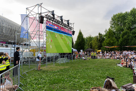 Miszalski Aleksander, kibic, Tauron Arena, Polska-Austria, strefa kibica, mecz