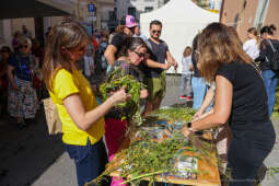 bs-240622-img_8507.jpg-Norymberga, Miszalski, festyn