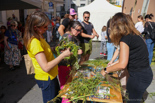 bs-240622-img_8507.jpg-Norymberga, Miszalski, festyn