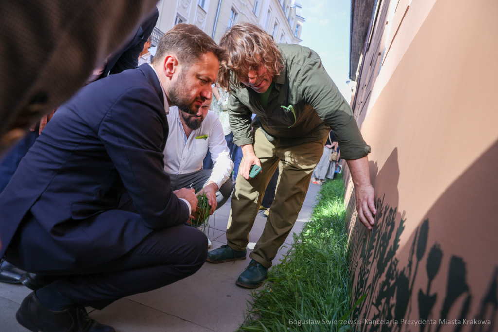 bs-240622-img_8954.jpg-Norymberga, Miszalski, festyn  Autor: B. Świerzowski