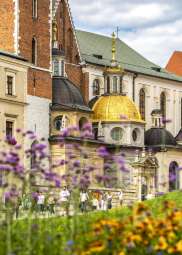 wawel