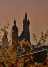 Kościół Mariacki