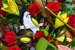 Jerzy Stuhr, pogrzeb, uroczystości pogrzebowe, Kidawa-Błońska, Cmentarz Rakowicki, Maciej Stuhr, 