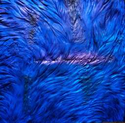 dobiesław gała z cyklu dotarła tam jedynie wyobraźnia  100x100 cm 2024 (2).jpg-Dobiesław Gała