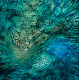 sa704388.jpg-Dobiesław Gała