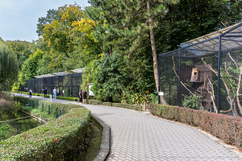 ZOO, Ptaszarnia, otwarcie jubileusz, 95-lecie, Krakowski Ogród Zoologiczny, Mazur, Klęczar, Gryga  Autor: P. Wojnarowski