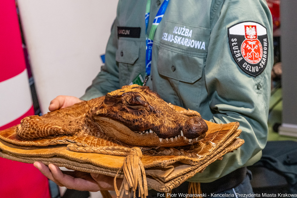 Targi Pracy i Przedsiębiorczości, Mazur, Przedsiębiorca roku, Grodzki Urząd Pracy, Tauron Arena   Autor: P. Wojnarowski