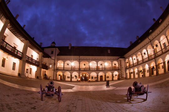 ZAMEK KRÓLEWSKI W NIEPOŁOMICACH