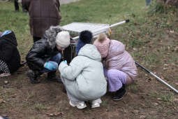 20241112-bsk_8456.jpg-Zazieleniamy Kraków