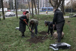 20241112-bsk_8484.jpg-Zazieleniamy Kraków